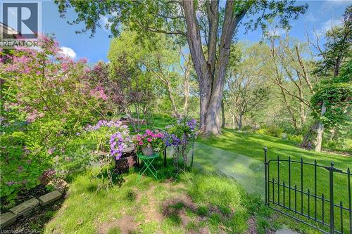Expansive outdoor garden featuring mature trees, vibrant flowering shrubs, and a lush green lawn - 137 Wesley Crescent, Waterloo, ON 