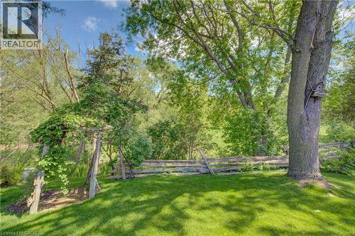 Expansive green lawn with mature trees and natural wood fencing - 137 Wesley Crescent, Waterloo, ON 
