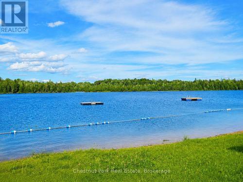 Great for swimming/canoeing - Mh15 - 684138 Sideroad 30, Chatsworth, ON 