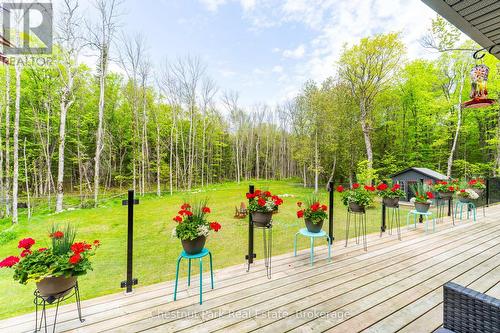 149 Lynx Drive, Kearney, ON 