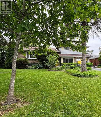 114 CAMPBELL CRESCENT  Kingston (Central City West), ON K7M 1Z5