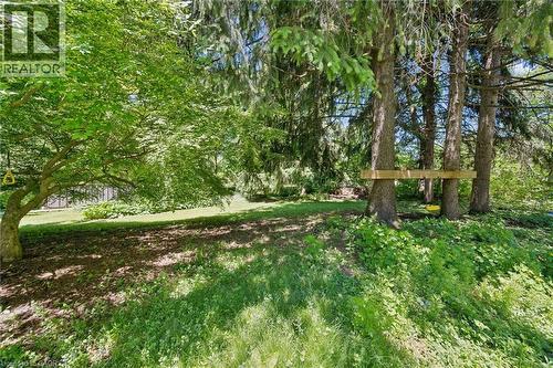 74 Homewood Avenue, Kitchener, ON 