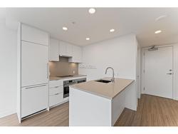 3009 13675 107A AVENUE Surrey, BC V3T 0X3