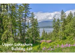 3541 20 Street NE Salmon Arm, BC V1E 2G9
