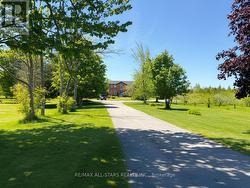 Welcoming driveway with mature trees - 