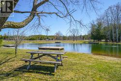 Floating dock, peaceful setting to enjoy nature - 