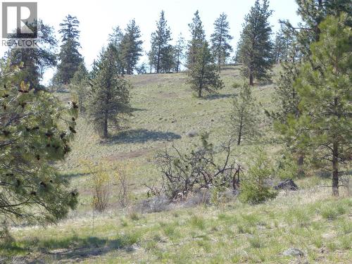 8900 Gilman Road, Summerland, BC 