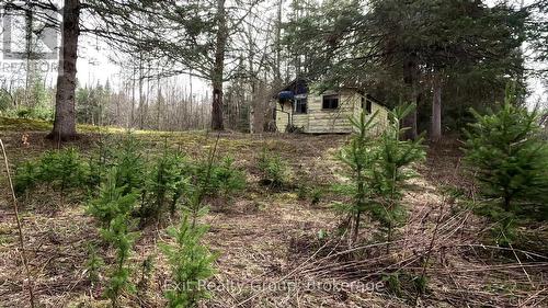 3606 COUNTY ROAD 620  North Kawartha, ON K0L 1A0