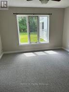 Primary suite new carpet - 