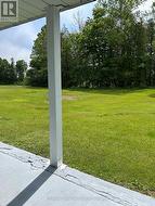 back patio overlooking nature and the golf course! - 