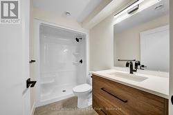 Lower level 3 pc bath - 