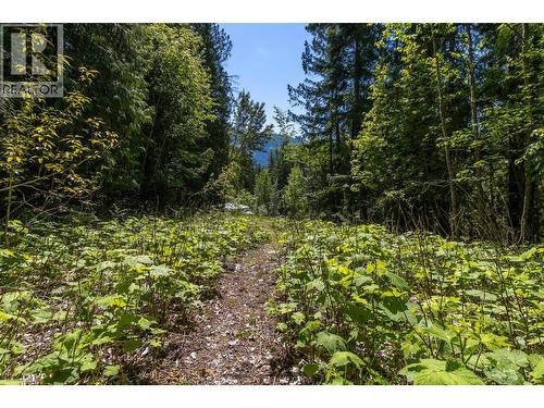 Sunnybrae Canoe Point Road Lot# 2, Tappen, BC 