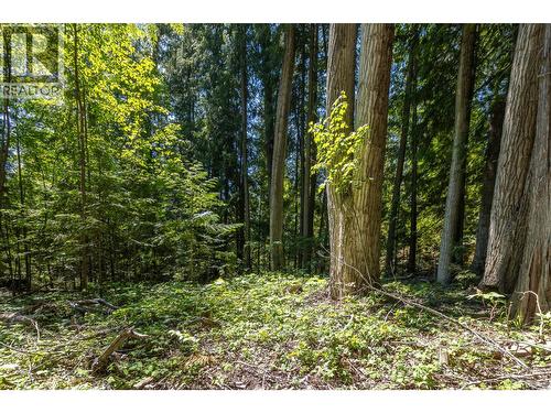 Sunnybrae Canoe Point Road Lot# 2, Tappen, BC 