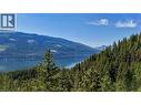 Views from top of property - Sunnybrae Canoe Point Road Lot# 2, Tappen, BC 