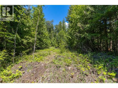 Sunnybrae Canoe Point Road Lot# 2, Tappen, BC 