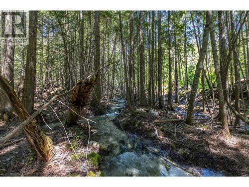 Sunnybrae Canoe Point Road Lot# 2, Tappen, BC 
