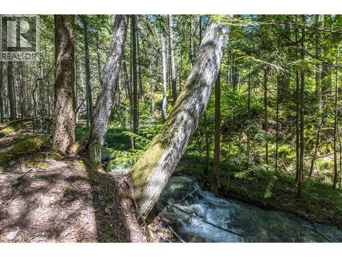 Sunnybrae Canoe Point Road Lot# 2, Tappen, BC 