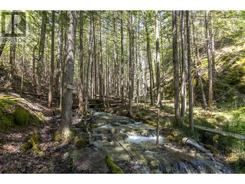Sunnybrae Canoe Point Road Lot# 2, Tappen, BC 