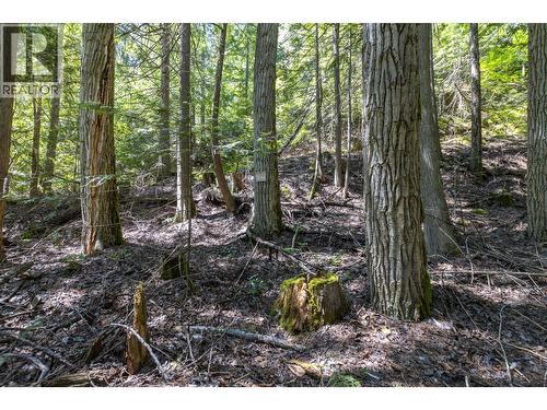 Sunnybrae Canoe Point Road Lot# 2, Tappen, BC 