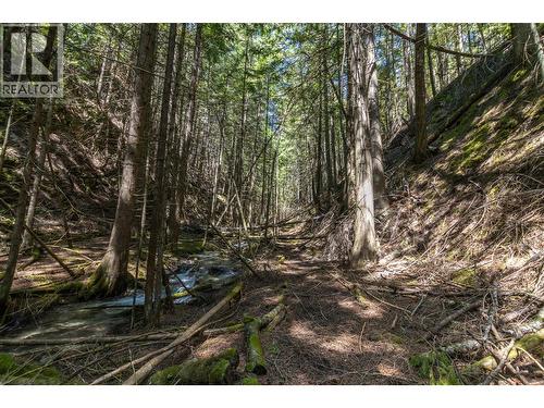 Sunnybrae Canoe Point Road Lot# 2, Tappen, BC 