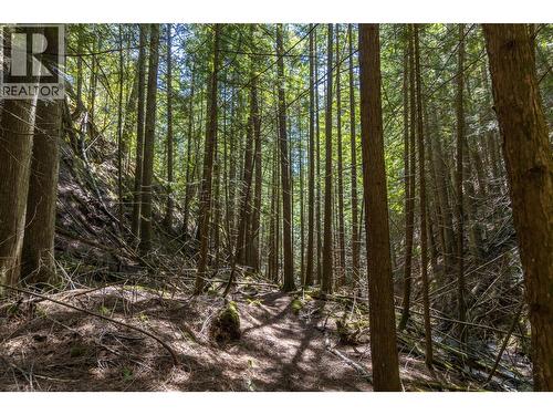 Sunnybrae Canoe Point Road Lot# 2, Tappen, BC 