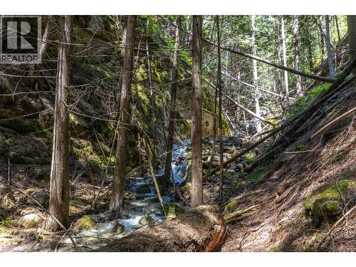 Sunnybrae Canoe Point Road Lot# 2, Tappen, BC 