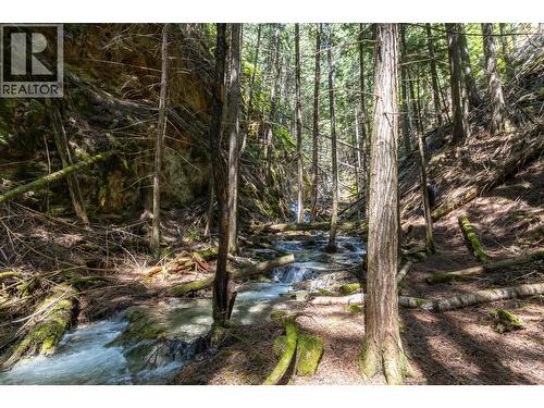 Sunnybrae Canoe Point Road Lot# 2, Tappen, BC 