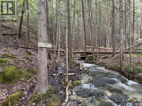 Sunnybrae Canoe Point Road Lot# 2, Tappen, BC 