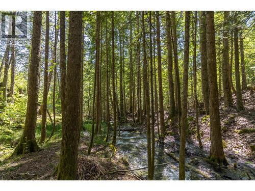 Sunnybrae Canoe Point Road Lot# 2, Tappen, BC 