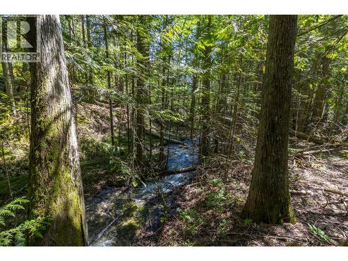 Sunnybrae Canoe Point Road Lot# 2, Tappen, BC 