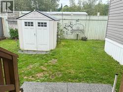 storage garden shed - 