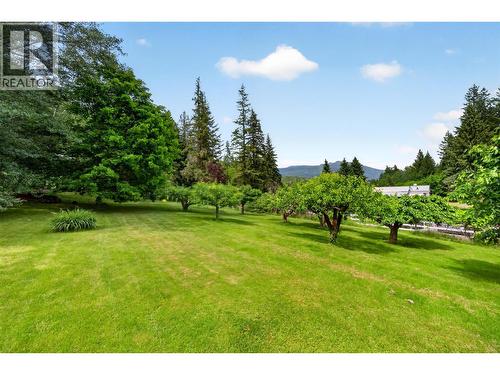 2030 Solsqua-Sicamous Road, Sicamous, BC - Outdoor With View