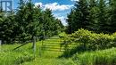 Lot 14 Con 2 1St Line E Ehs, Mulmur, ON 