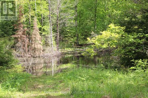 0 Bordenwood Road, Frontenac (Frontenac Centre), ON 