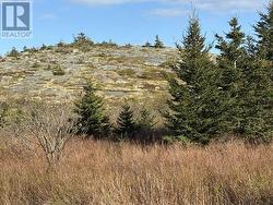 2A Menchions' Lane Bay Roberts, NL A0A 1G0