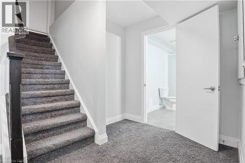 Plush gray carpeted staircase with dark wood newel post and handrail - 7 Upper Mercer Street Unit# G30, Kitchener, ON - Indoor Photo Showing Other Room