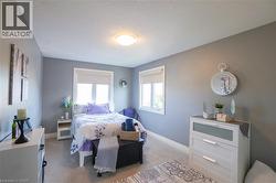Carpeted room with two windows featuring roller shades, painted walls, and white trim - 