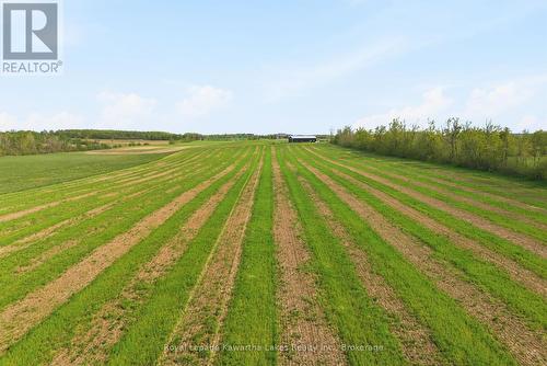 431 Meadowview Road, Kawartha Lakes (Emily), ON 