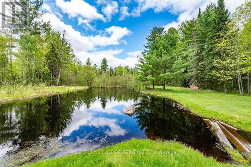 393 Portage Road, Petawawa, ON 