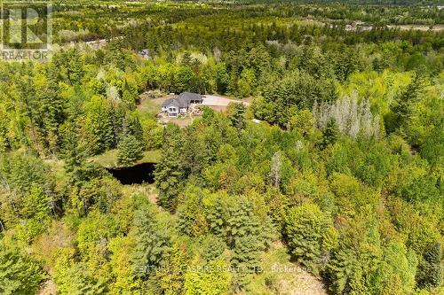 393 Portage Road, Petawawa, ON 
