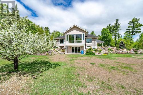 393 Portage Road, Petawawa, ON 