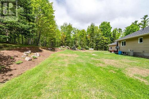 393 Portage Road, Petawawa, ON 