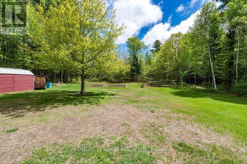 393 Portage Road, Petawawa, ON 