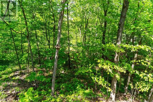 180 Clairmont Road, Gravenhurst (Muskoka (S)), ON - Outdoor