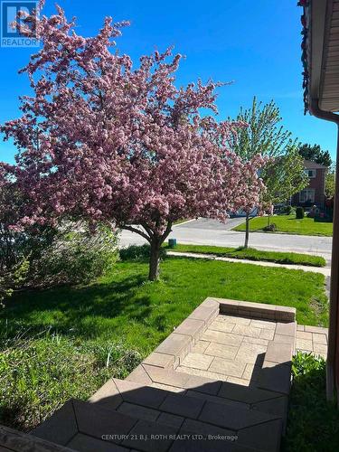 42 Farmstead Crescent, Barrie, ON 