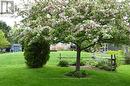 18 Cretney Drive S, Prince Edward County (Wellington Ward), ON 