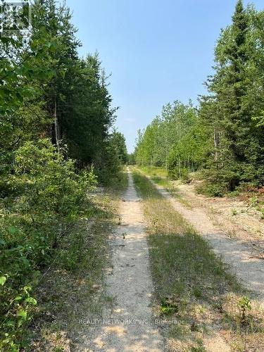 Road to the pit - Private - Pt Lt 11, Concession 4 Birchill Road E, Cochrane (Cochrane Unorganized), ON 