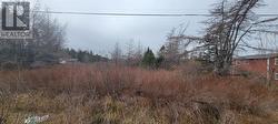 390 Main Street Burin, NL A0E 1E0