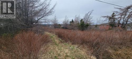 390 Main Street, Burin, NL 