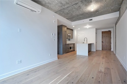 Overall view - 714-1575 Rue Gareau, Montréal (Ville-Marie), QC 